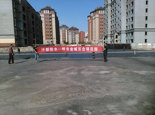 呼市金城百合項目展示